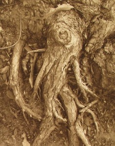 Tree Print Succubus by Retagene Hanslik