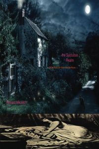 Witches in the Tinderbox: The Succubus Realm by Richard Mikolitch