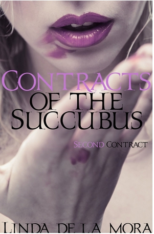 File:ContractsSuccubus2.jpg